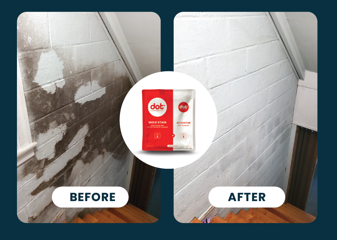 How To Take Before & After Photos