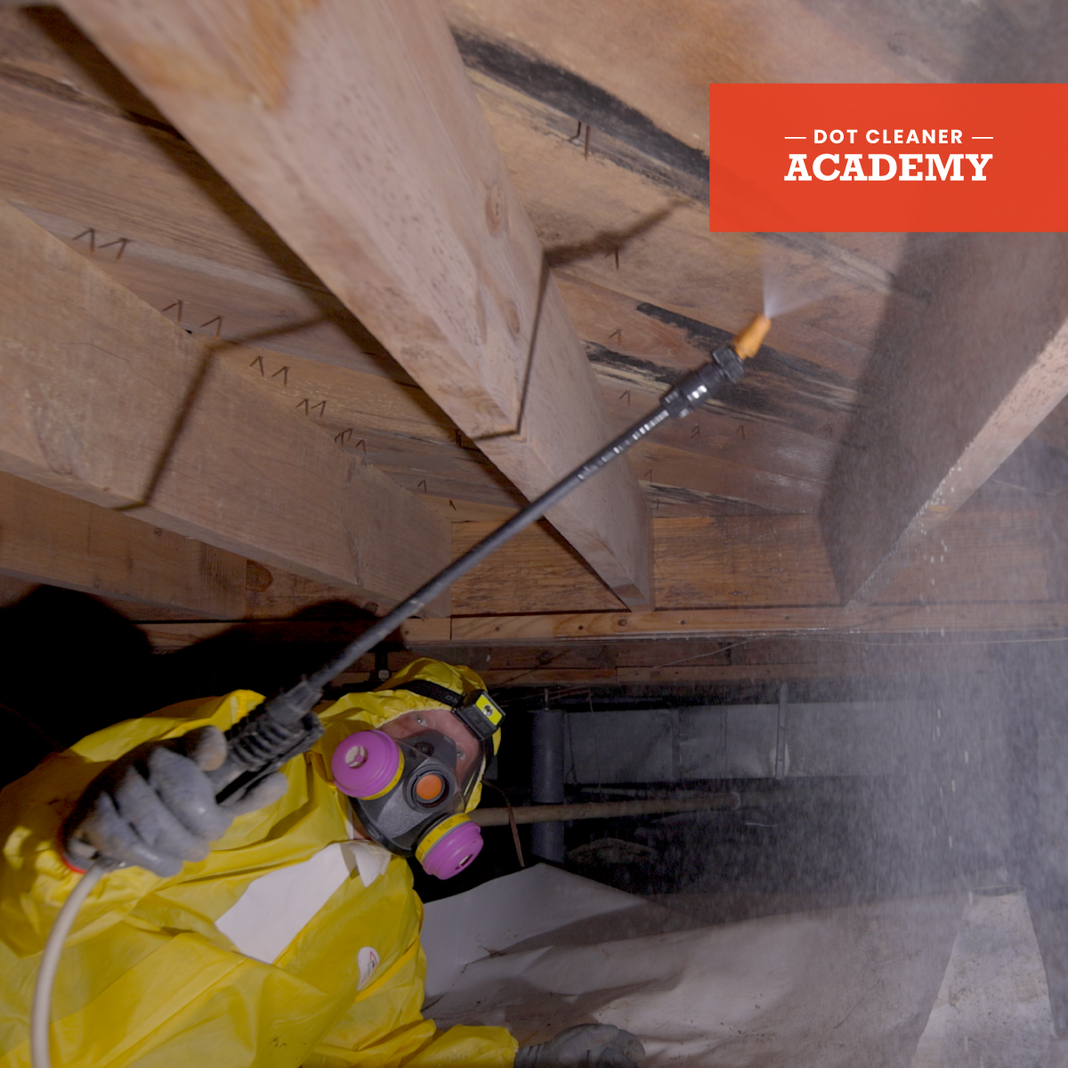 Remove Mold Stains From Crawl Spaces