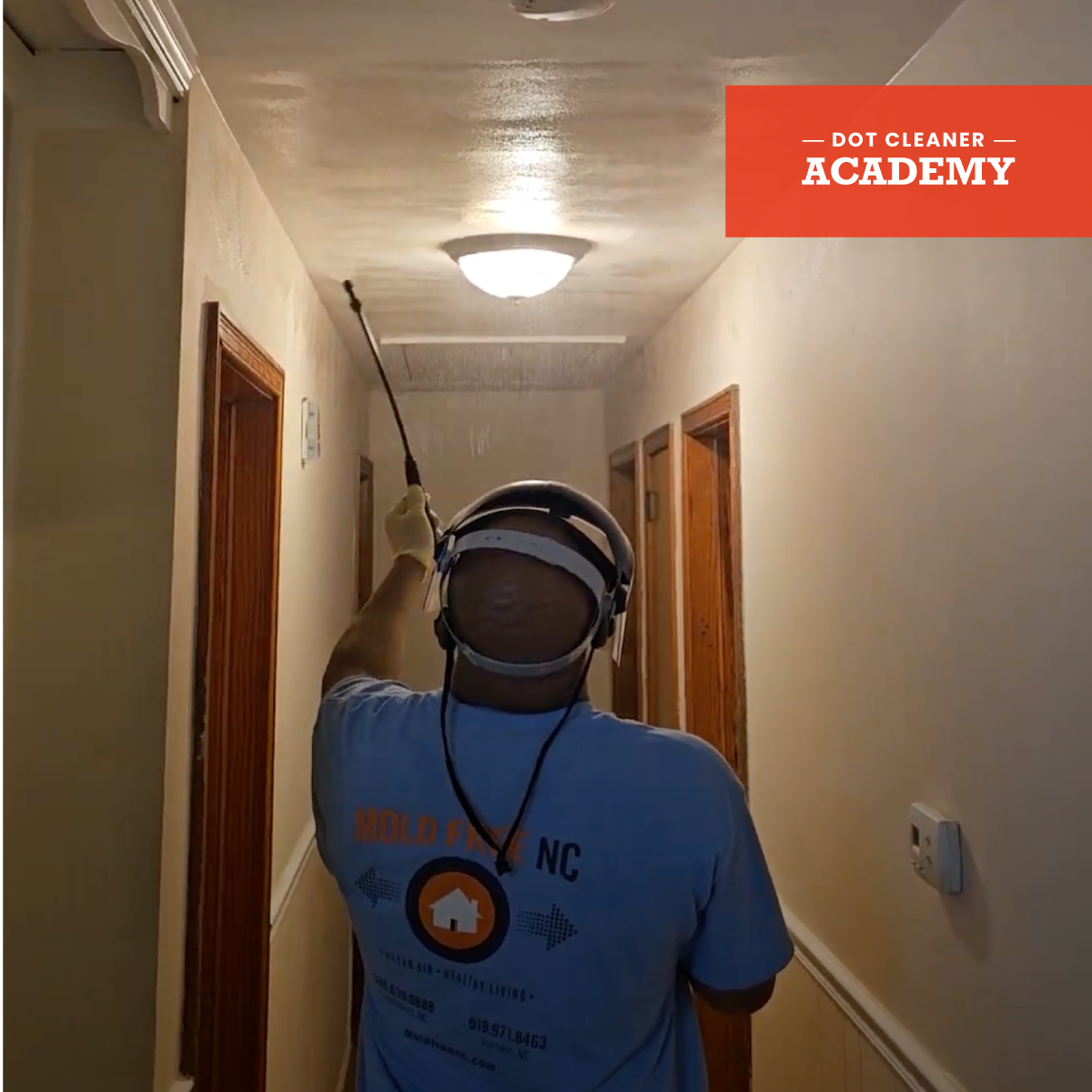 Remove Mold Stains On Drywall