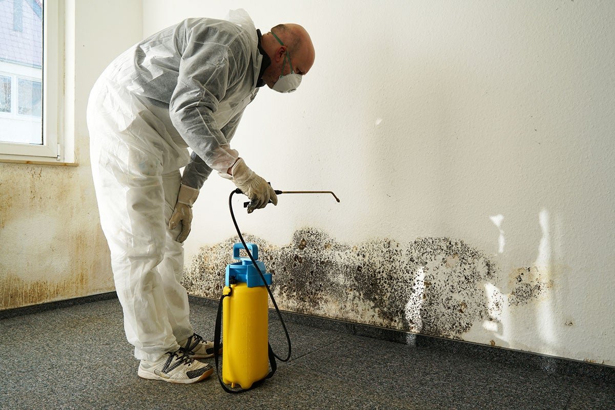 How To Be Prepared For Mold Season