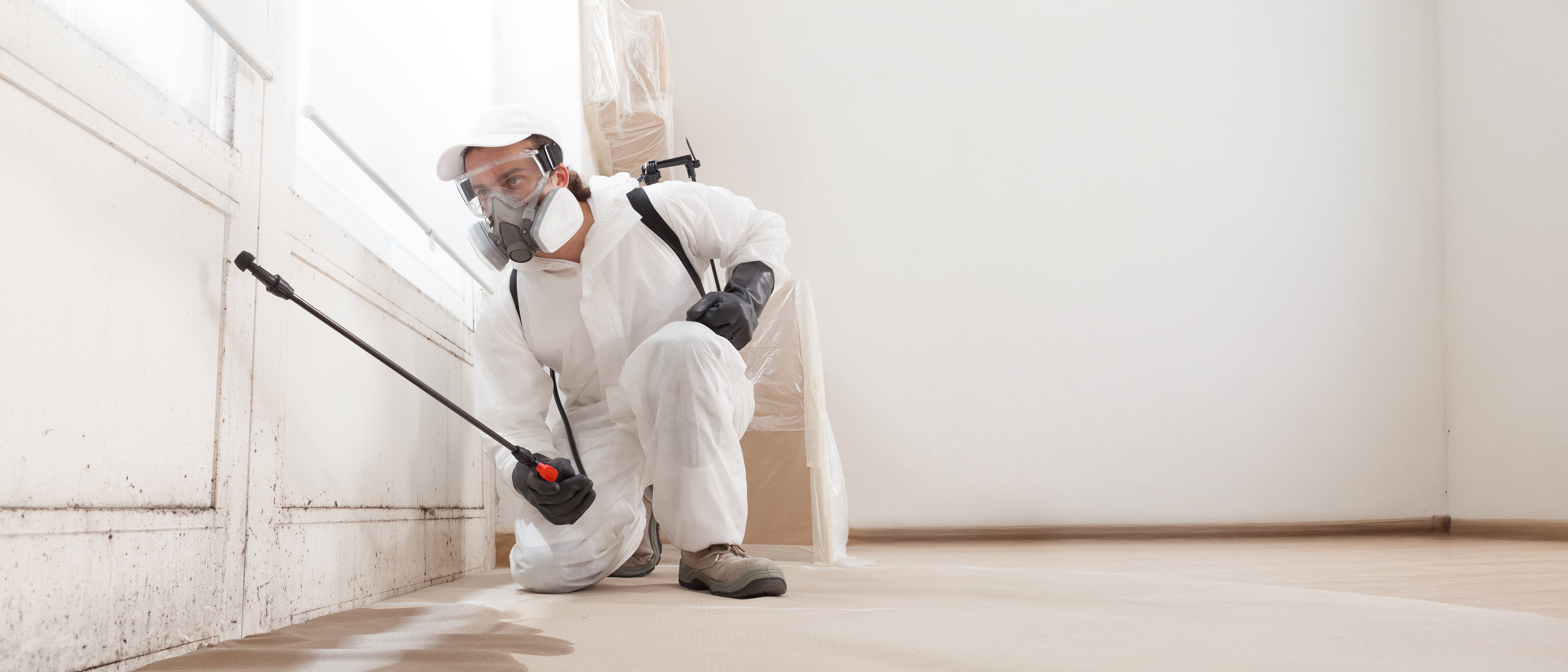 Watch Dot In Action: Extra Strength Mold Stain Remover