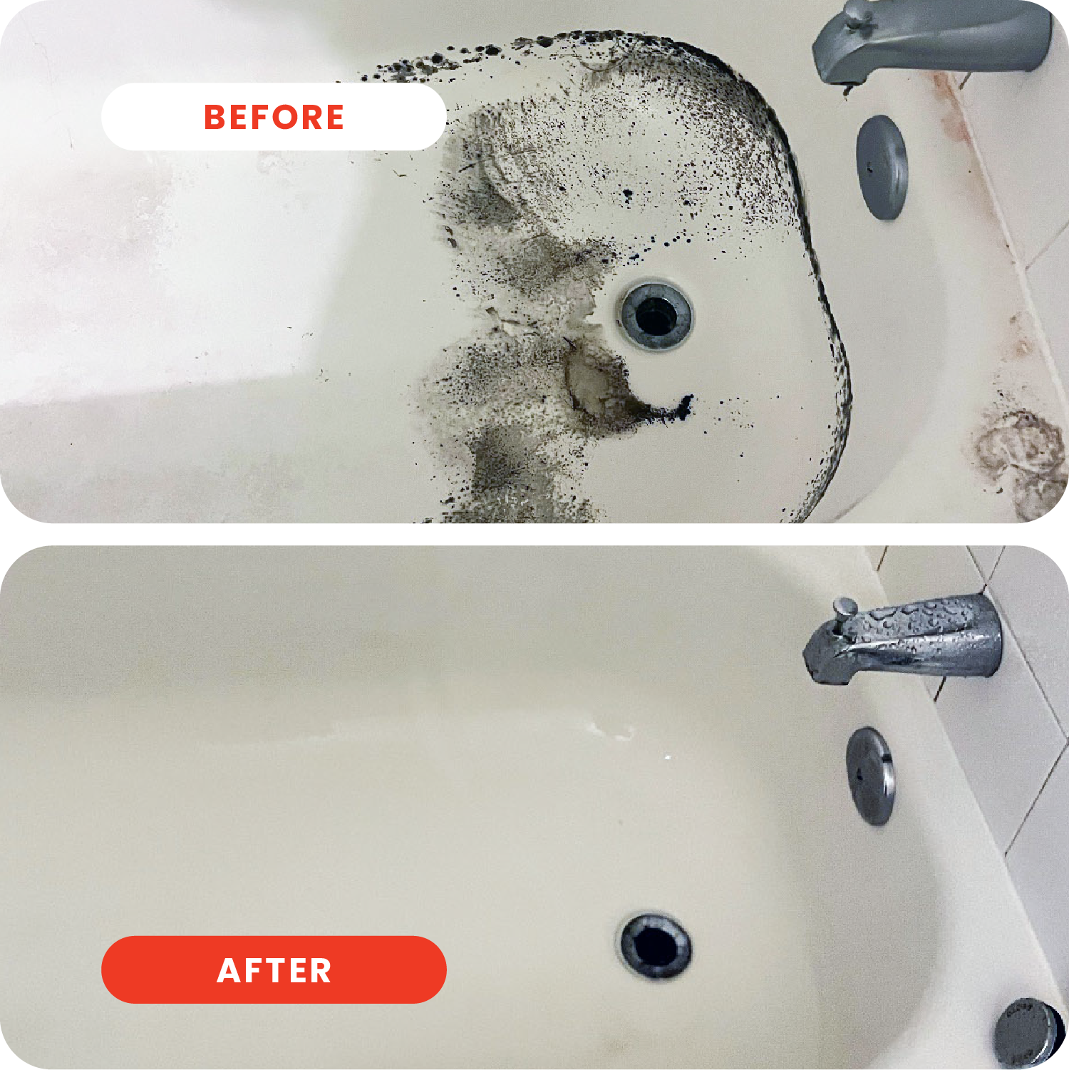 Surface Cleaner & Deodorizer