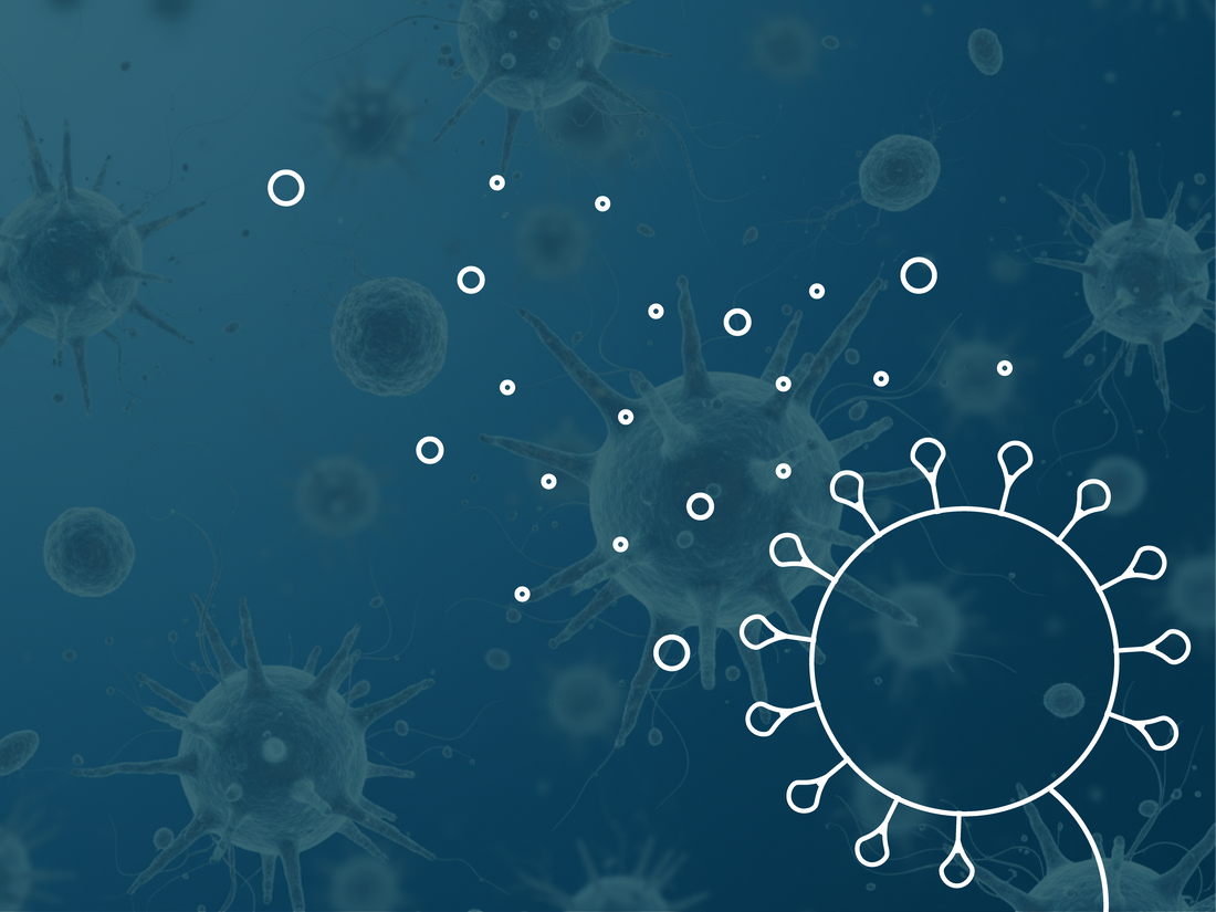 Why Destroying Mycotoxins Matter in Mold Remediation
