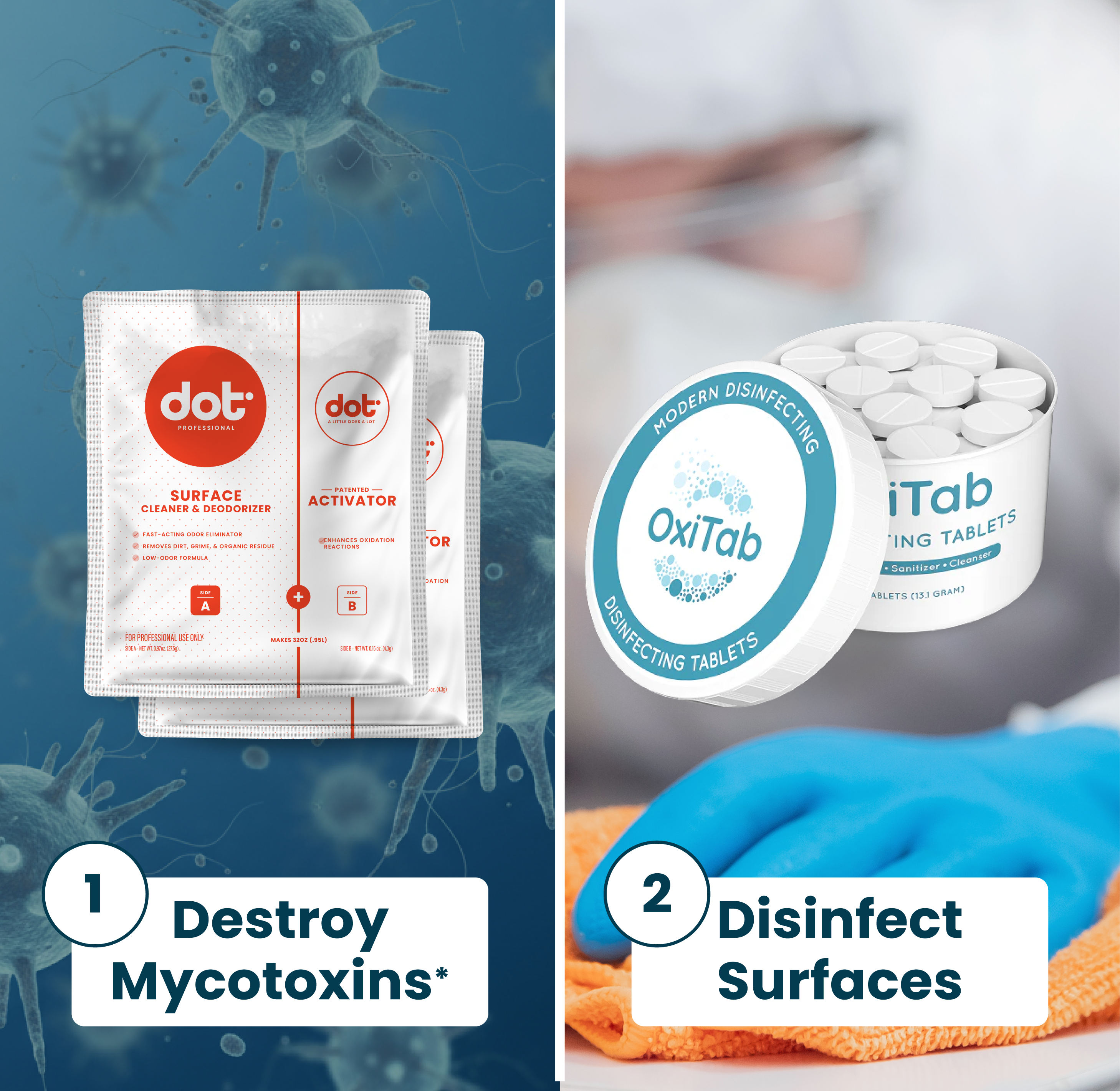Mycotoxin & Disinfection Bundle
