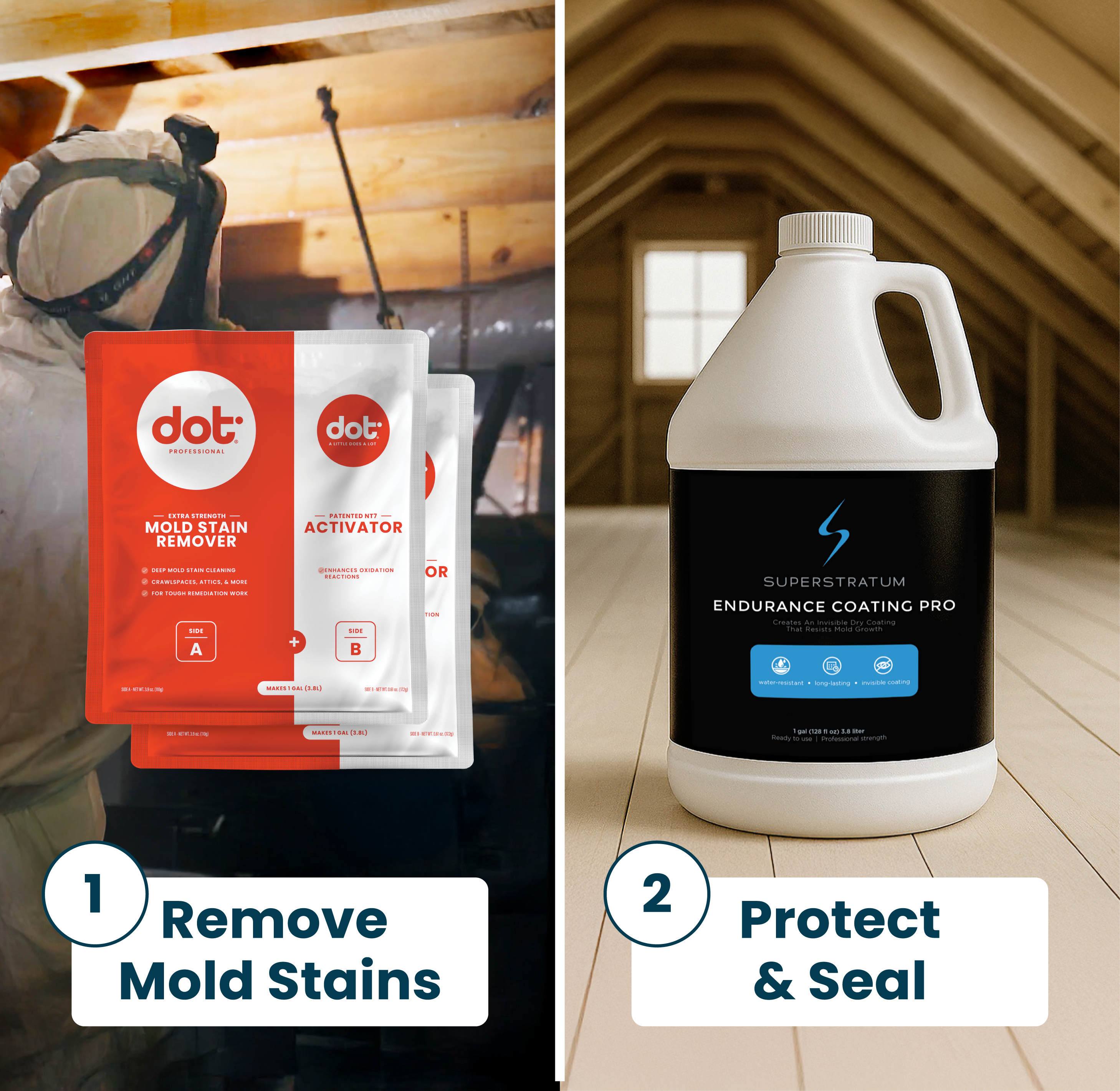 Mold Stain Remover & Coating Bundle
