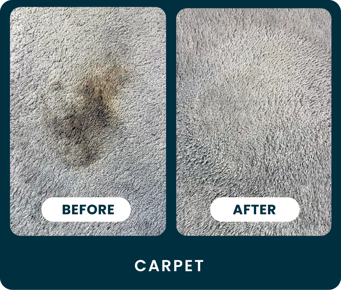Carpet Rescue Urine & Odor Remover