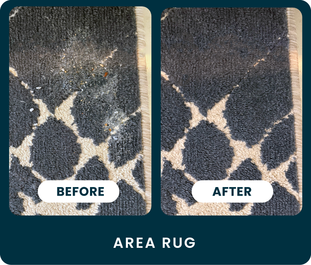 Carpet Rescue Urine & Odor Remover