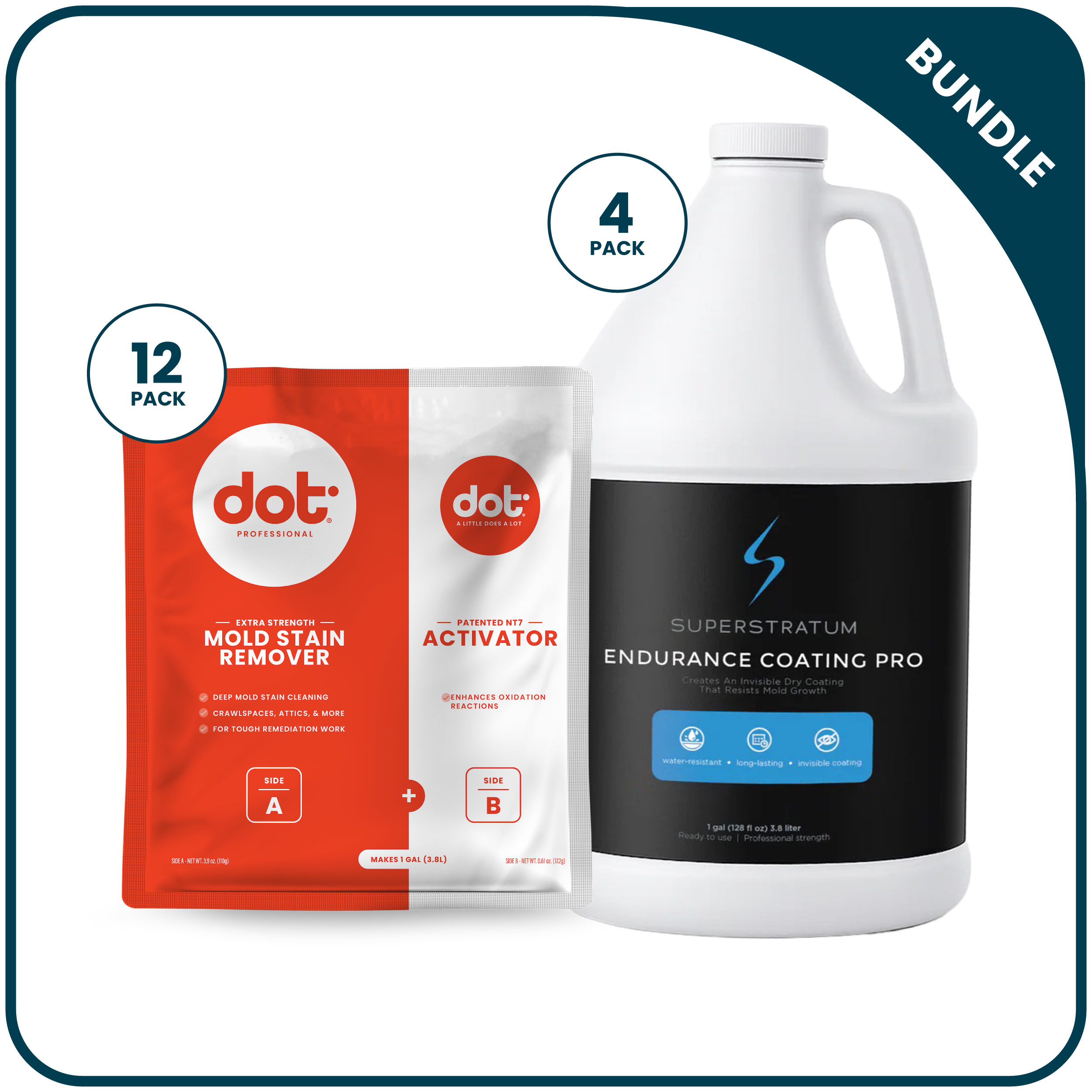 Mold Stain Remover & Coating Bundle