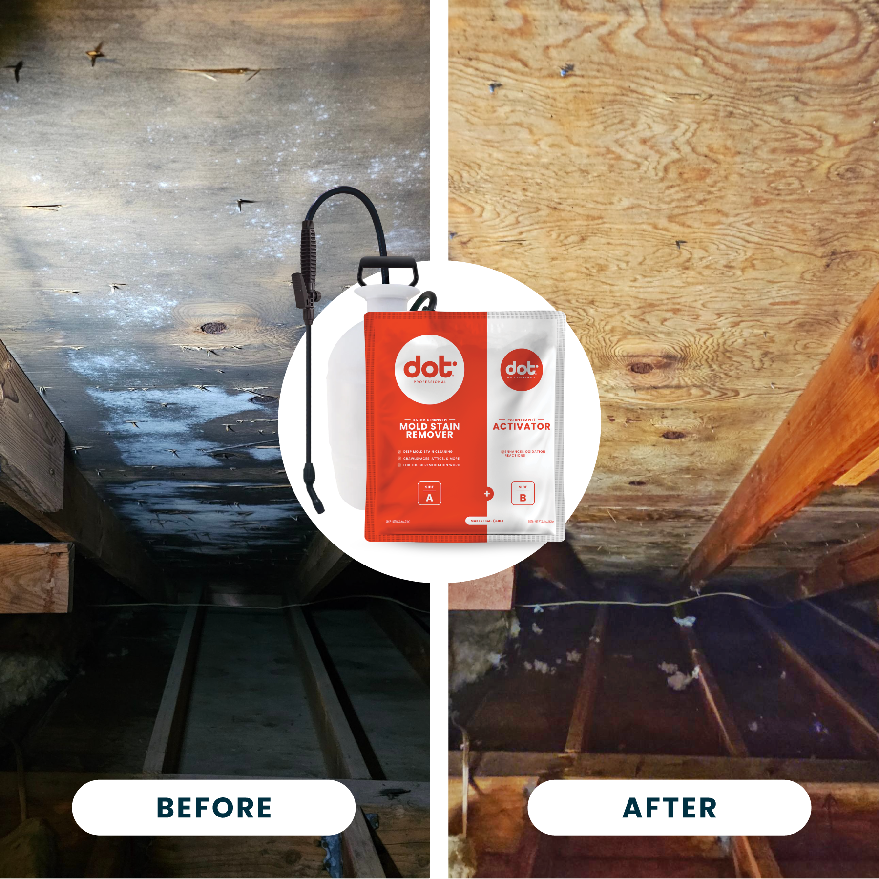 Mold Stain Remover & Coating Bundle